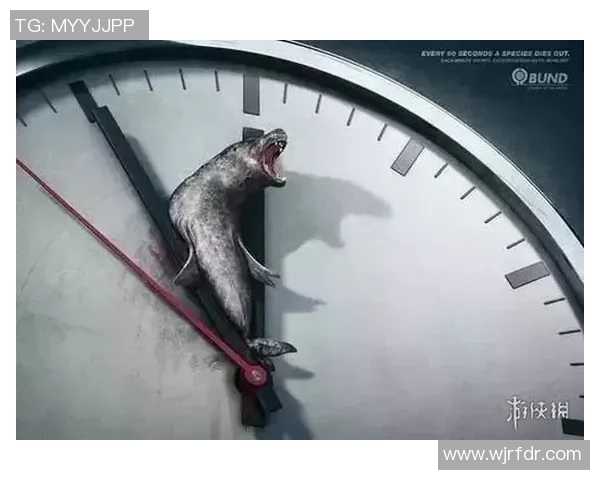 足球明星家人遭网络暴力引发舆论热议社会对家庭暴力的关注与反思